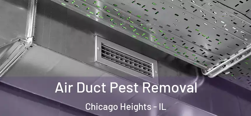  Air Duct Pest Removal Chicago Heights - IL