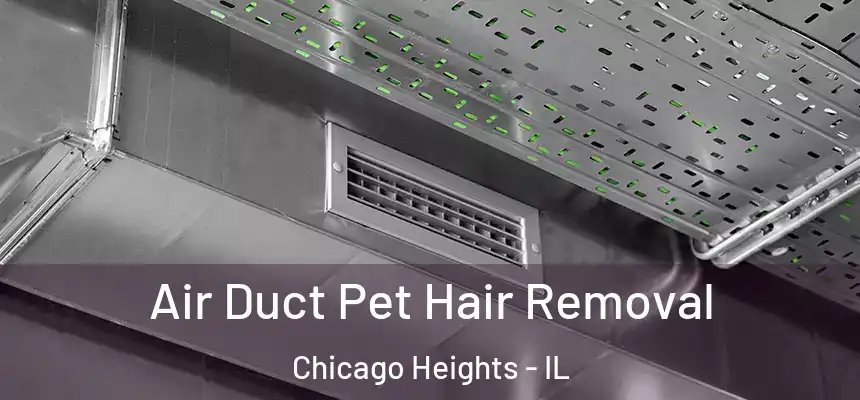  Air Duct Pet Hair Removal Chicago Heights - IL