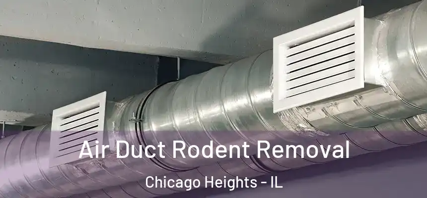 Air Duct Rodent Removal Chicago Heights - IL