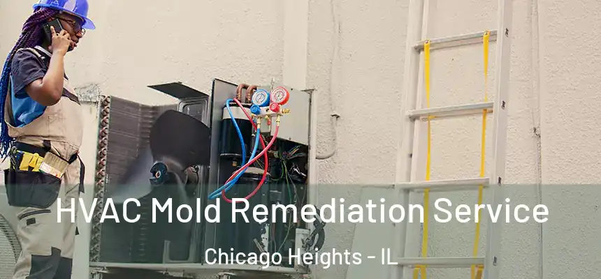 HVAC Mold Remediation Service Chicago Heights - IL