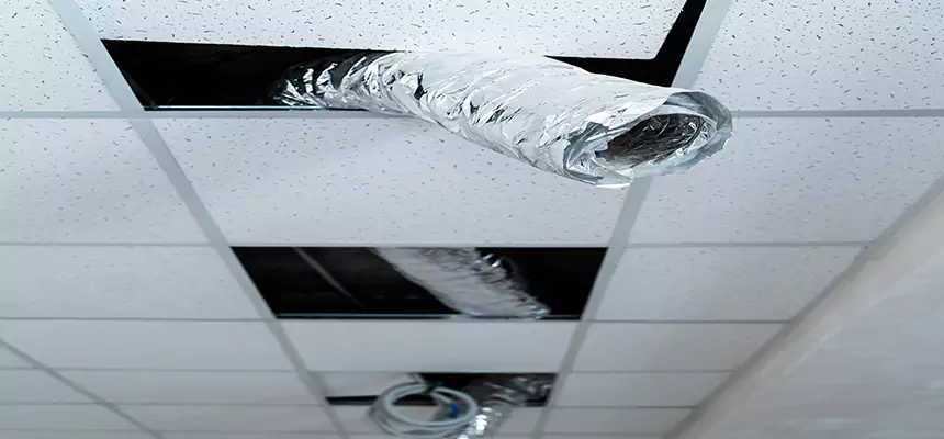 Our Air Duct Pet Hair Removal Services in Chicago Heights, IL