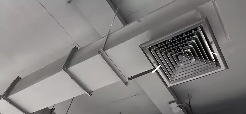 Our Rodent Droppings In Vents Services in Chicago Heights, IL