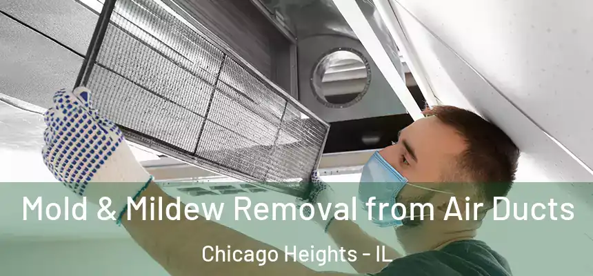  Mold & Mildew Removal from Air Ducts Chicago Heights - IL