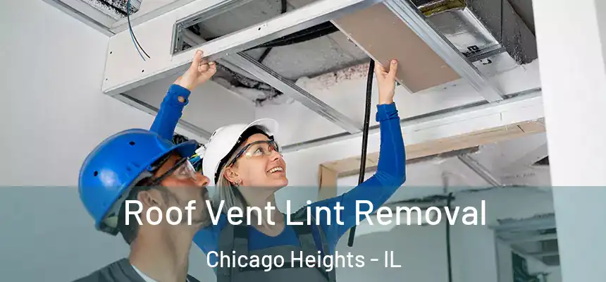 Roof Vent Lint Removal Chicago Heights - IL
