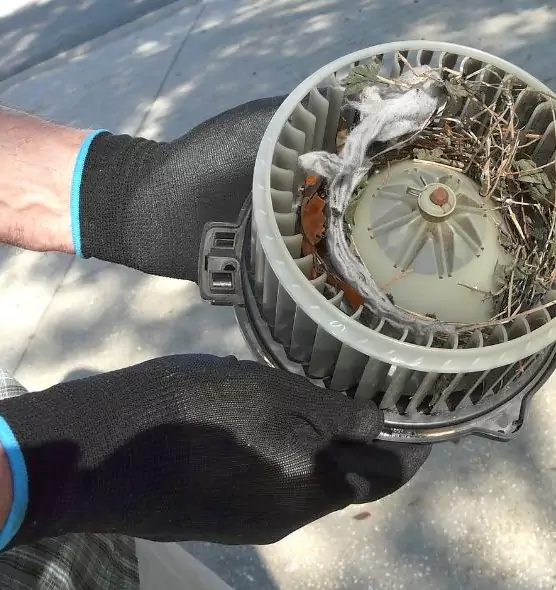 About Air Duct Rat Removal in Chicago Heights, IL