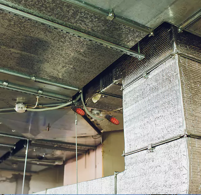 Why Homeowners & Businesses Trust Us in Chicago Heights, IL?